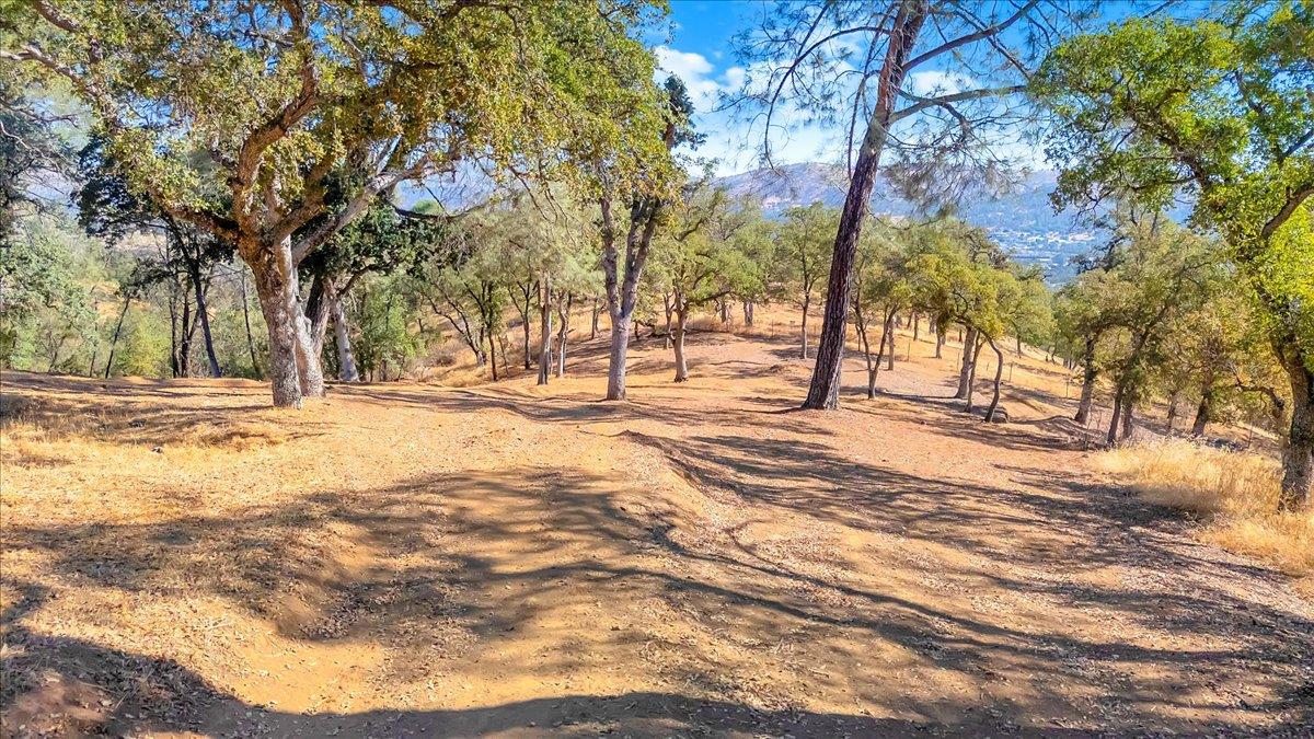 3085 Arrowhead St, Copperopolis, CA 95228