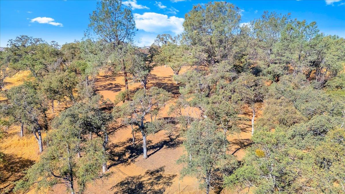 3085 Arrowhead St, Copperopolis, CA 95228