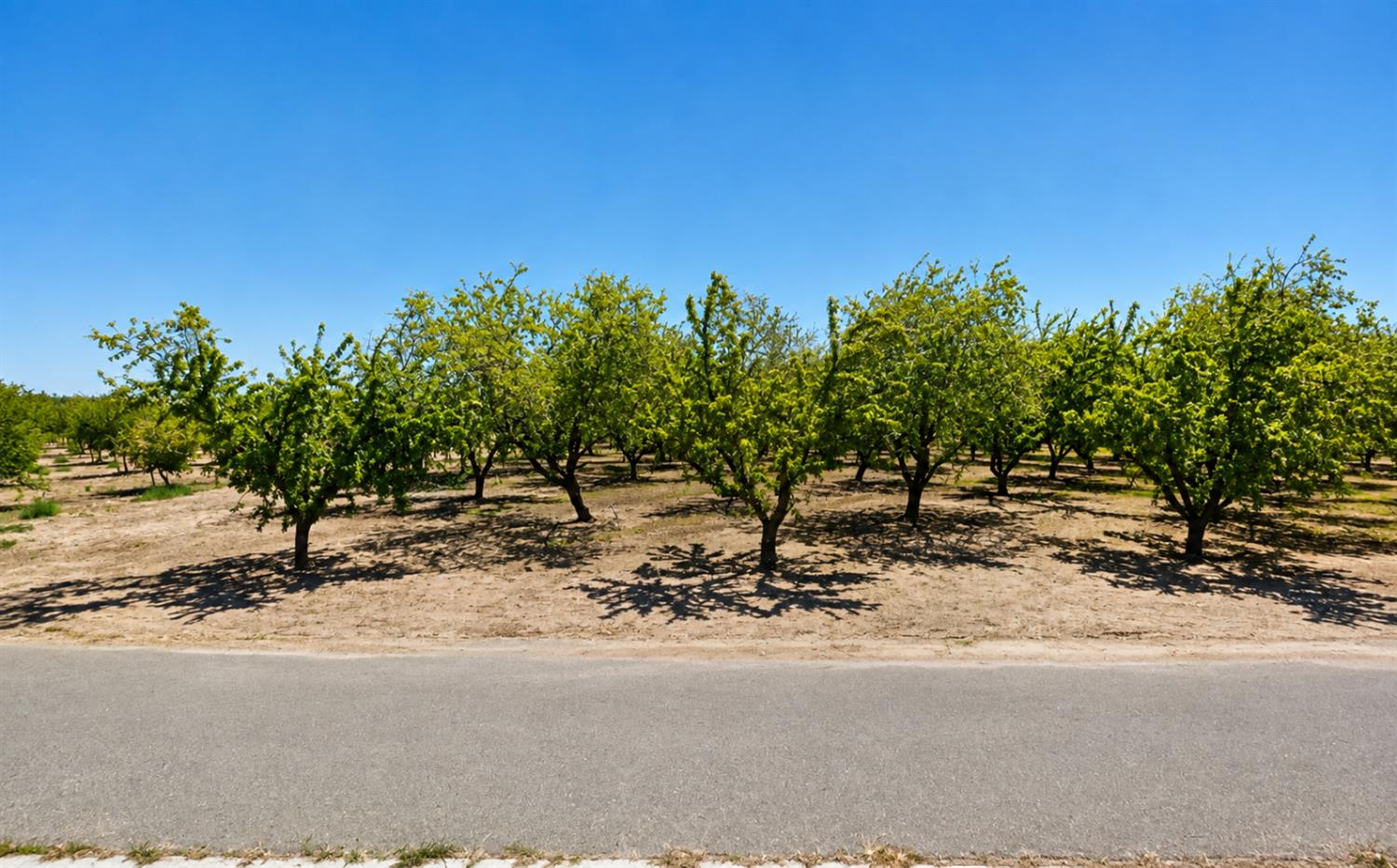 1365 Colony Rd, Ripon, CA 95366