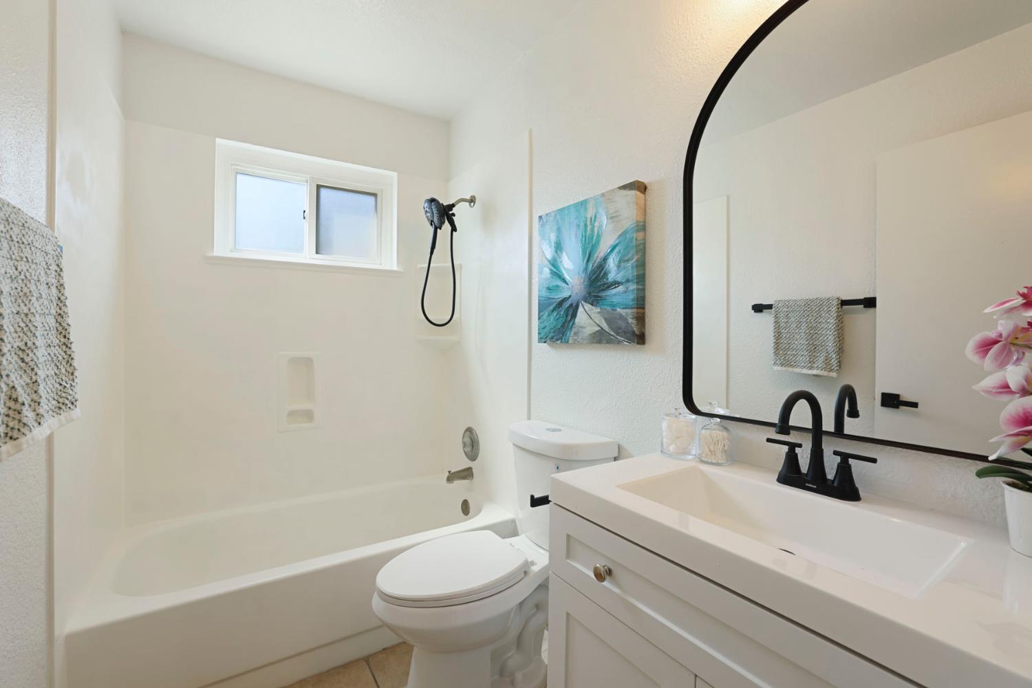 733 Larmuseau Ln, Modesto, CA 95351