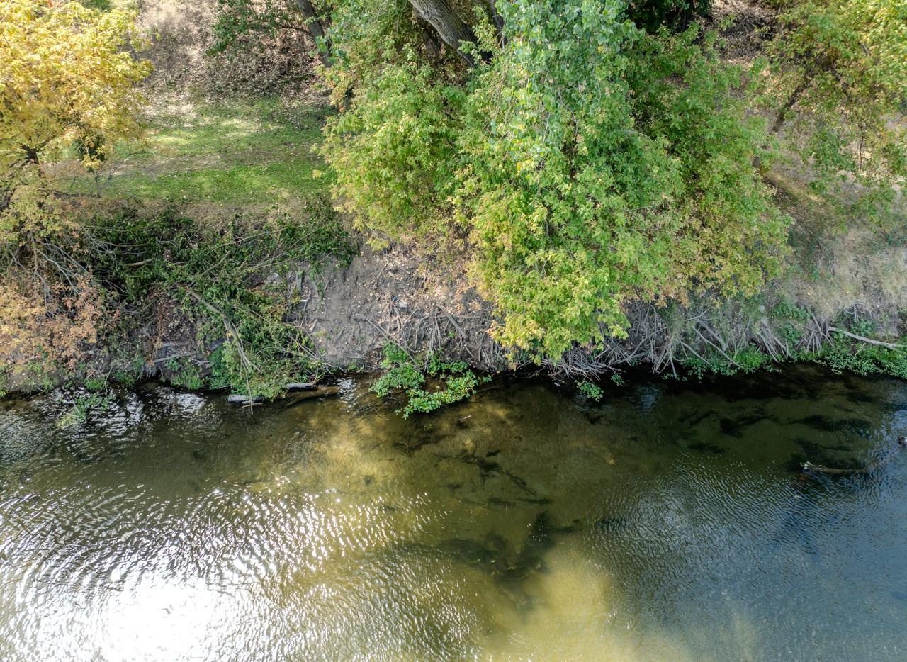1643 River Rd, Modesto, CA 95351