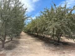 2301 Coelho Rd, Manteca, CA 95336
