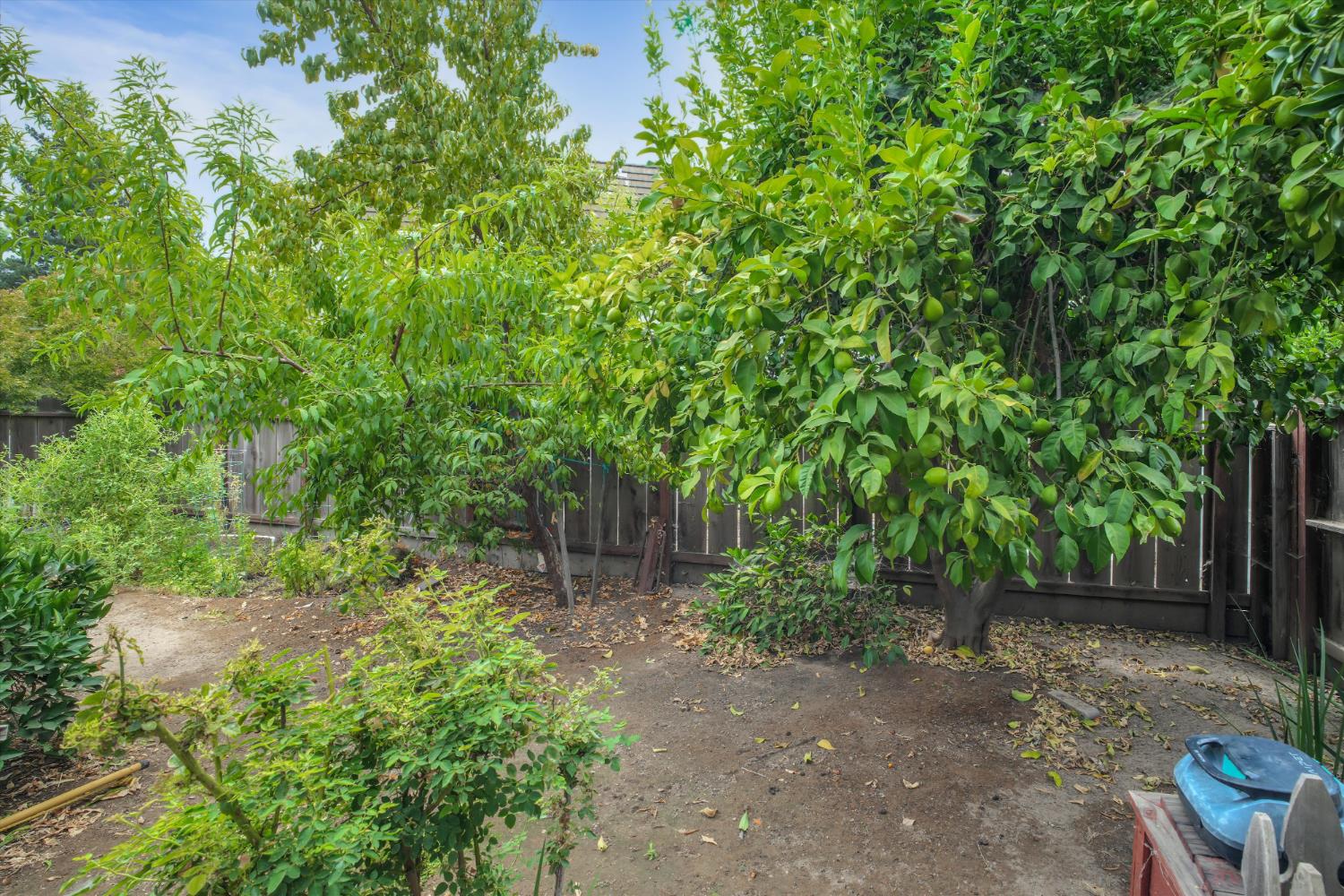 1945 Foxtail Ct, Turlock, CA 95382