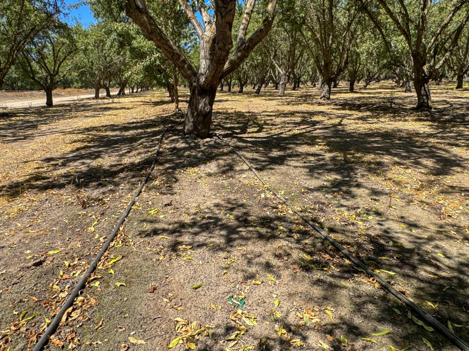 19312 S Wagner Ave, Ripon, CA 95366