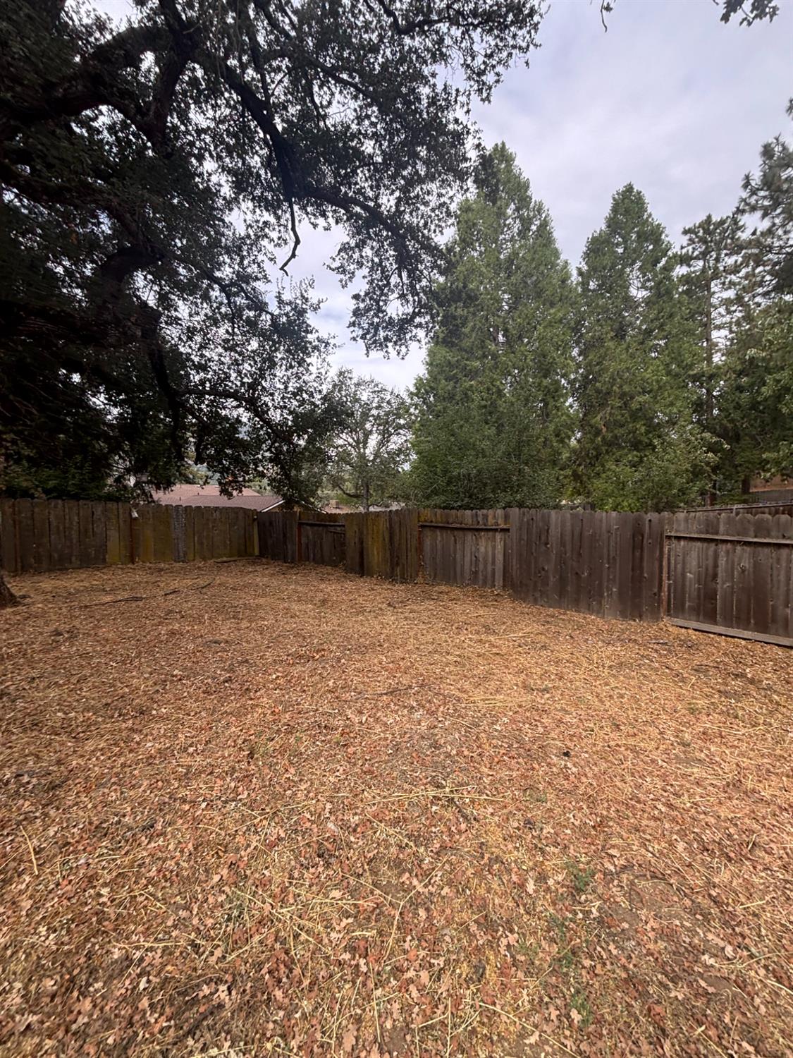 49702 Pierce Dr, Oakhurst, CA 93644