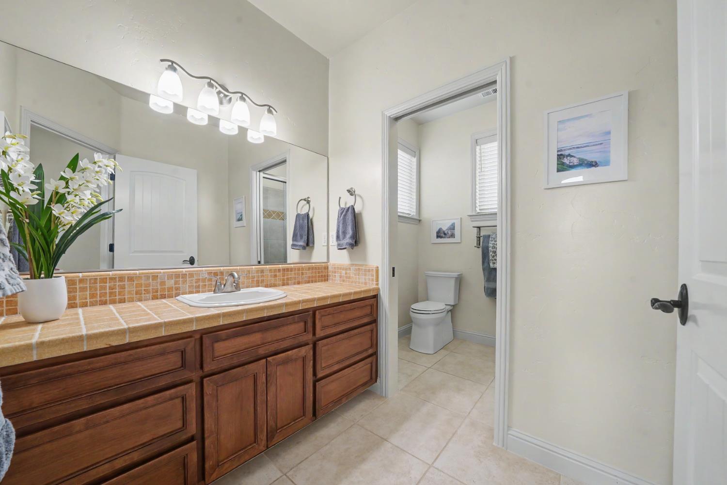 5 Paseo Delago, Copperopolis, CA 95228