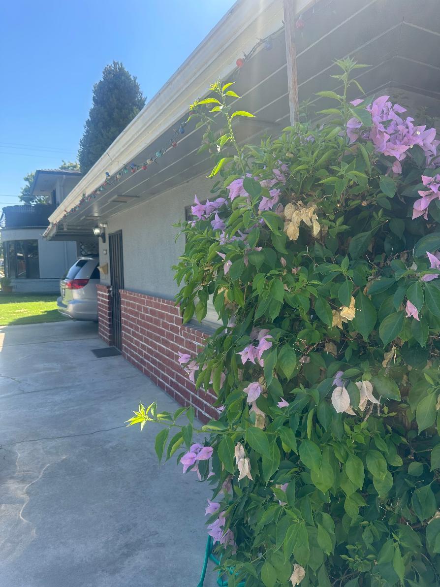 1131 Arizona Ave, Los Banos, CA 93635