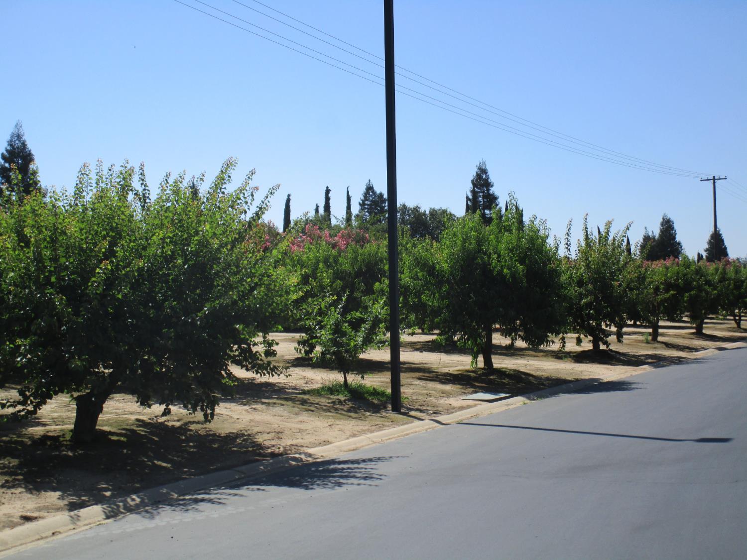 1500 Held Dr #98, Modesto, CA 95355