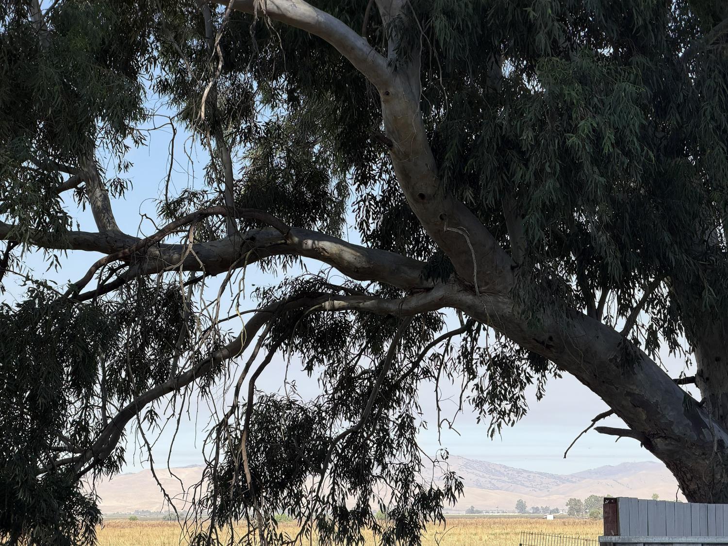 24160 W Frontier St, Los Banos, CA 93635