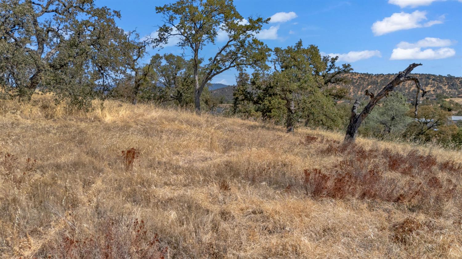 0 Penascal Rd, La Grange, CA 95329