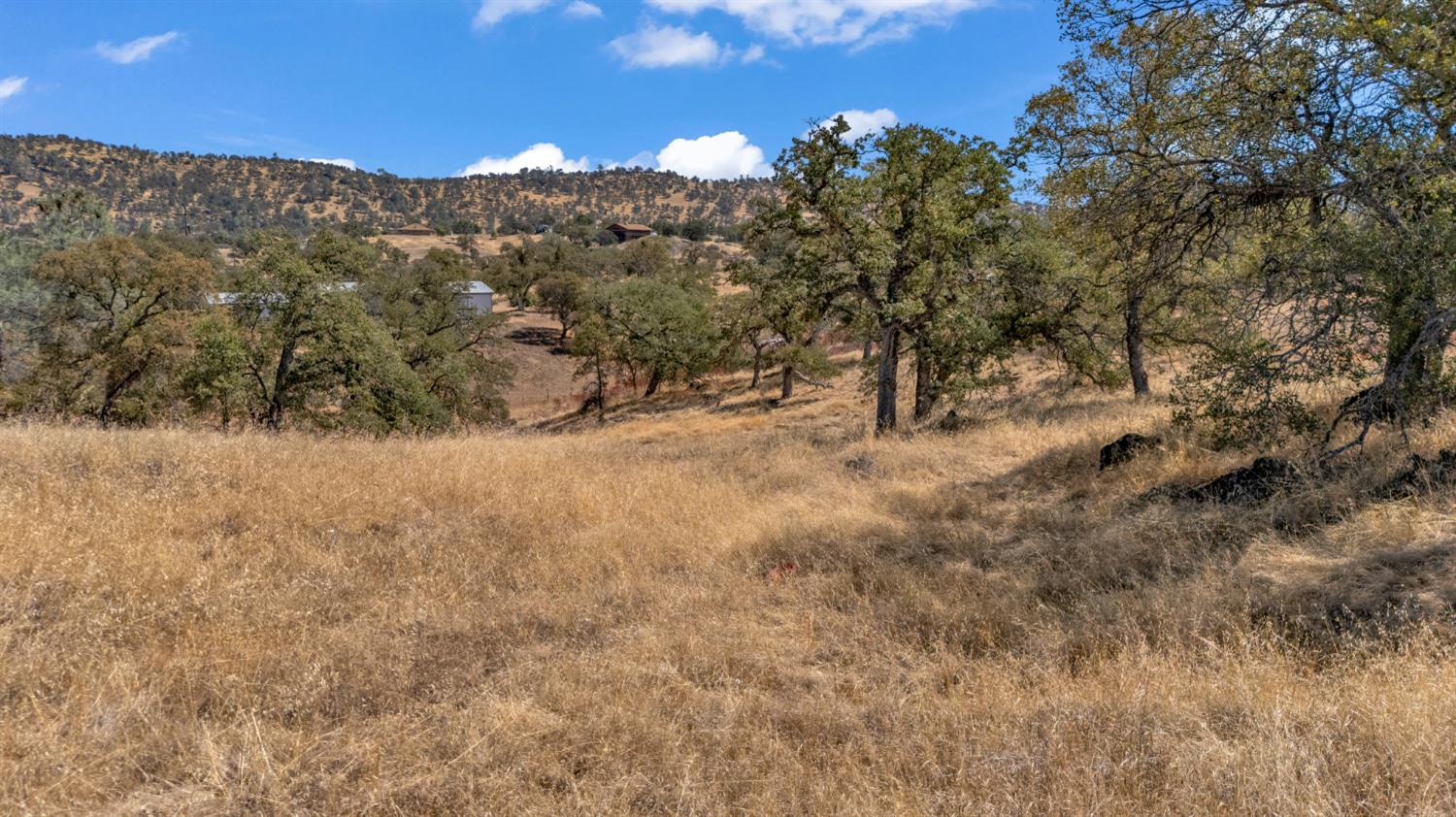 0 Penascal Rd, La Grange, CA 95329