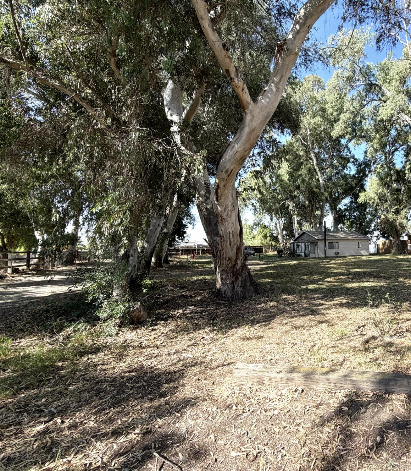 13450 2nd St, Los Banos, CA 93635