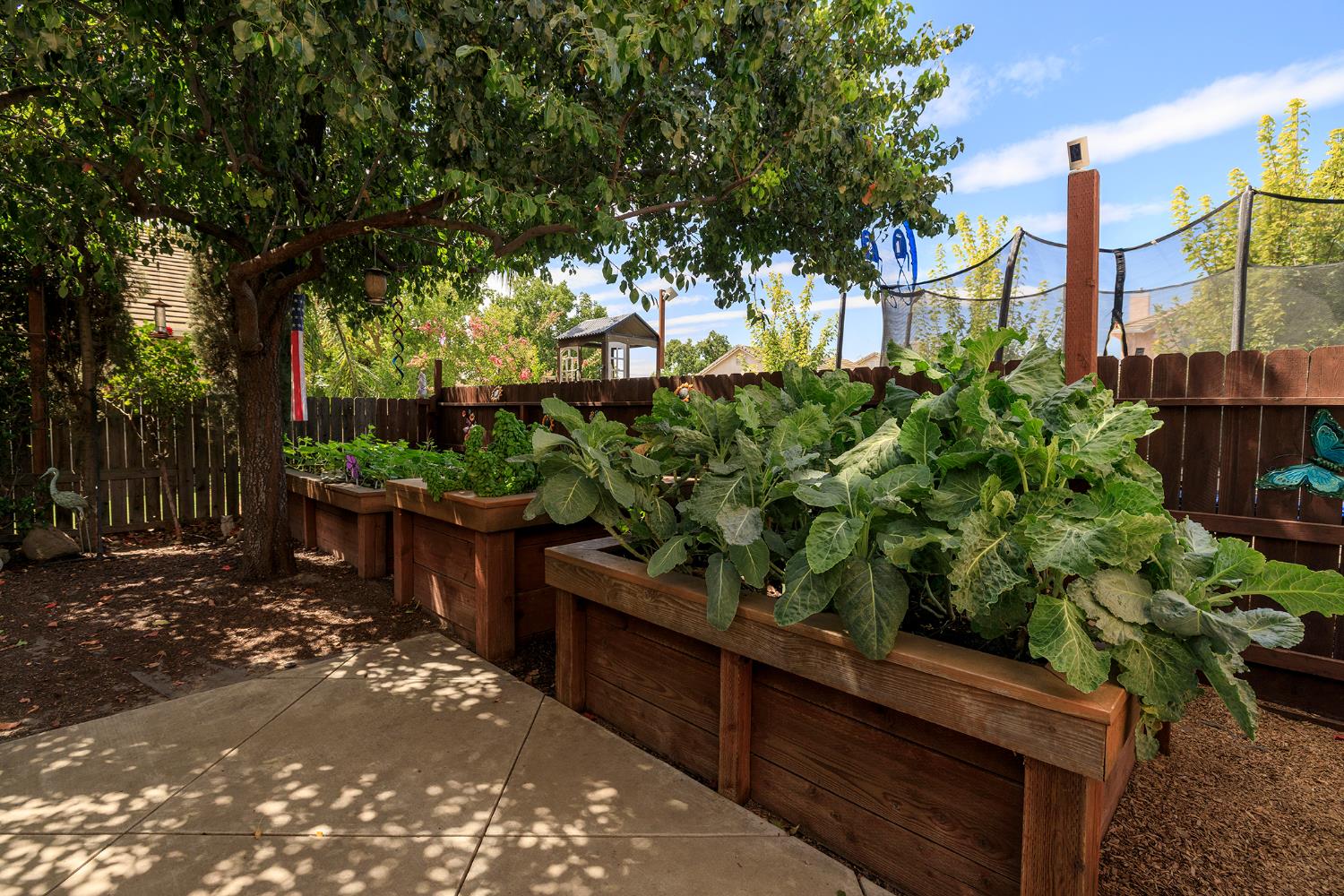 Open Photo