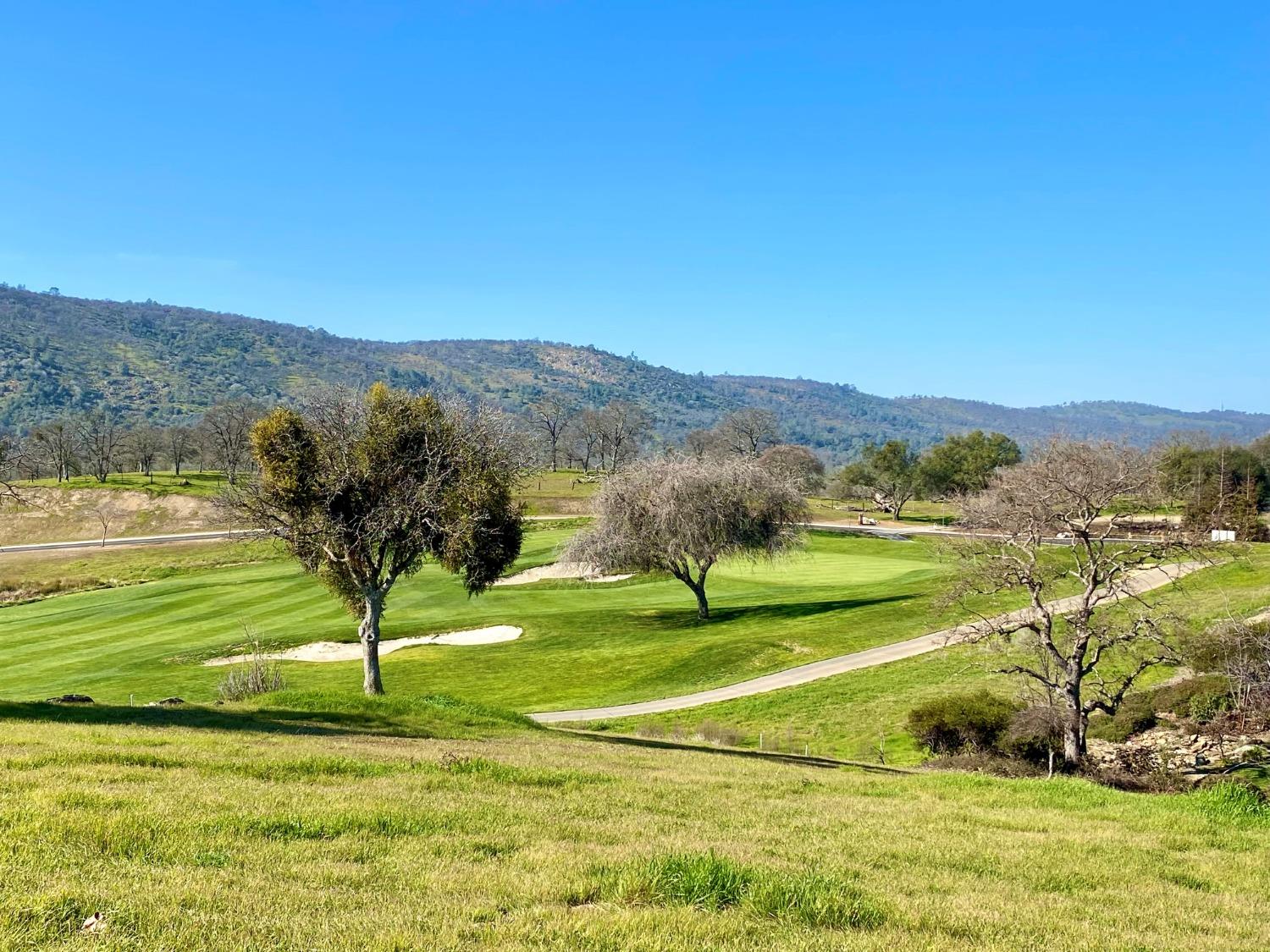 1904 Oak Creek Dr, Copperopolis, CA 95228