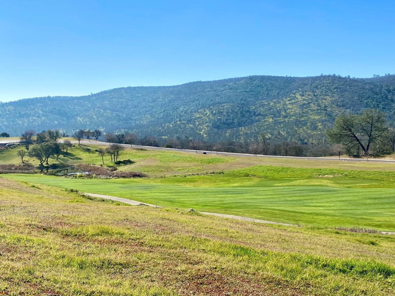 1904 Oak Creek Dr, Copperopolis, CA 95228