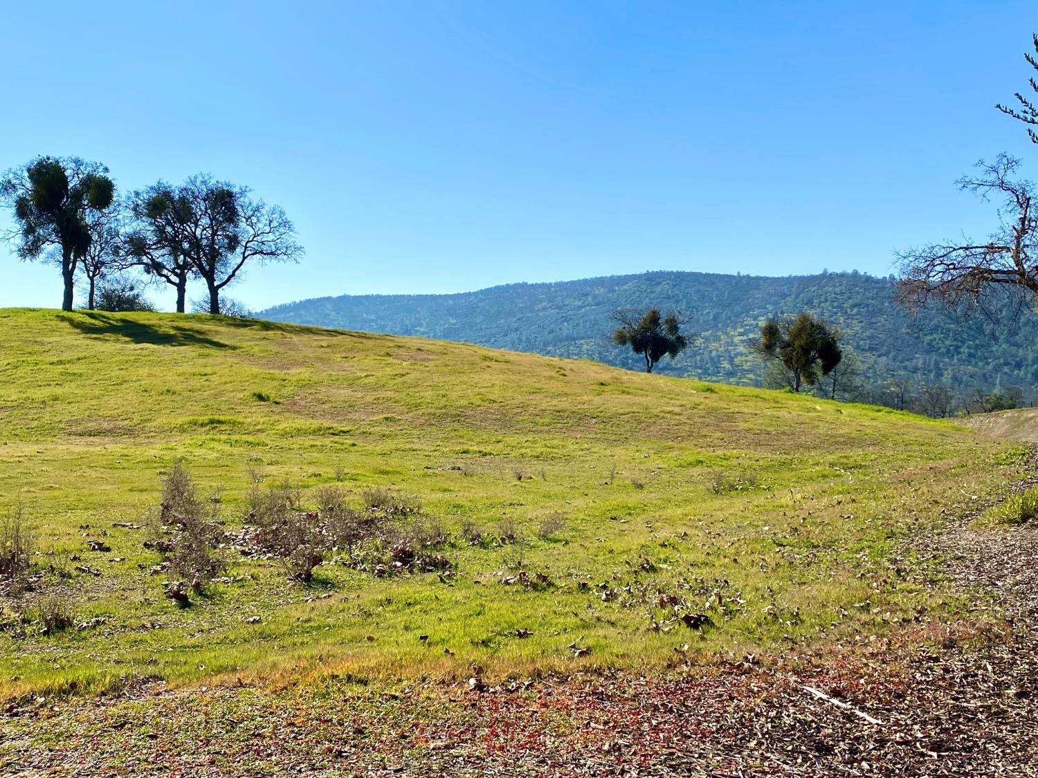 1904 Oak Creek Dr, Copperopolis, CA 95228