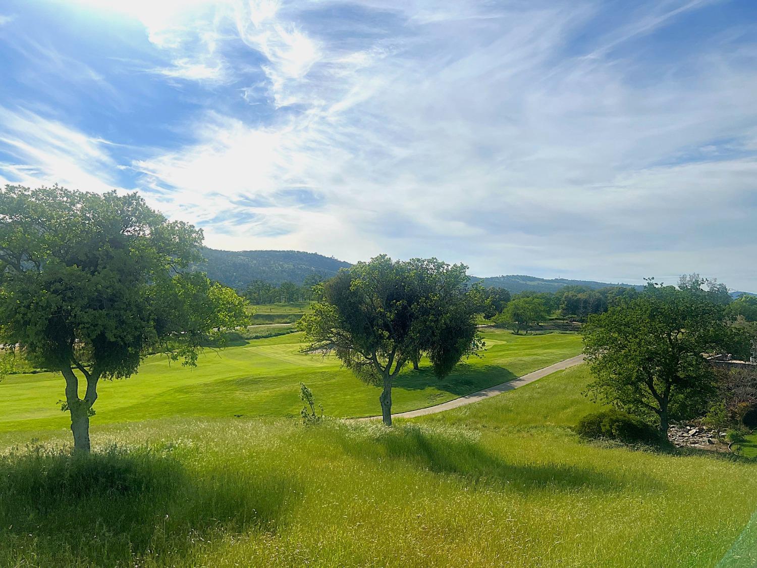 1904 Oak Creek Dr, Copperopolis, CA 95228
