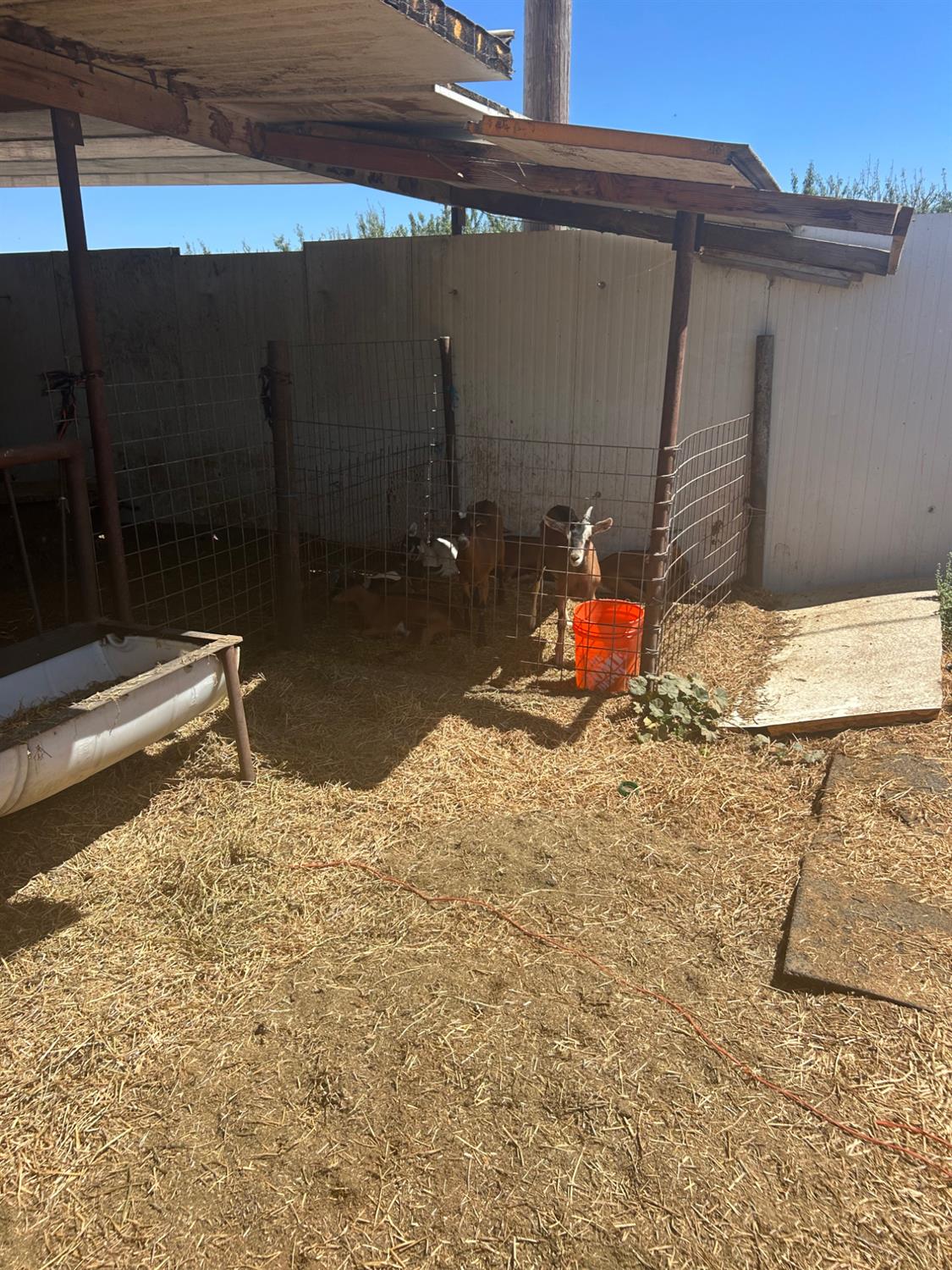 7831 Foy Ave, Ceres, CA 95307