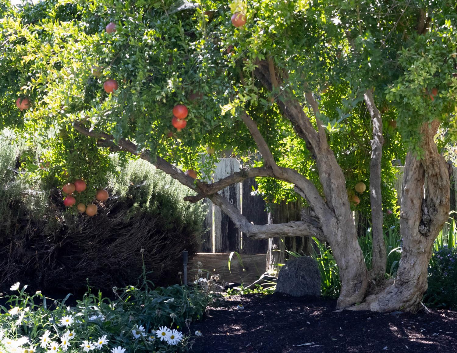 6400 Bearden Ln, Modesto, CA 95357