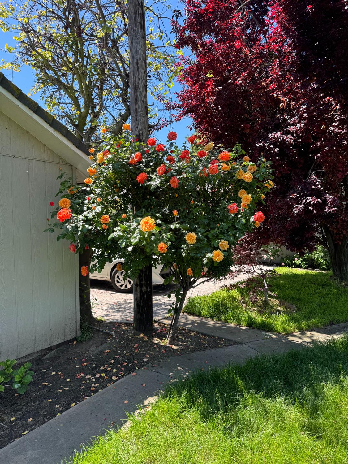 1206 Pauline Ave, Modesto, CA 95358