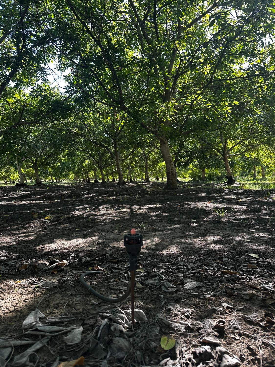1507 Old Tim Bell Rd, Waterford, CA 95386