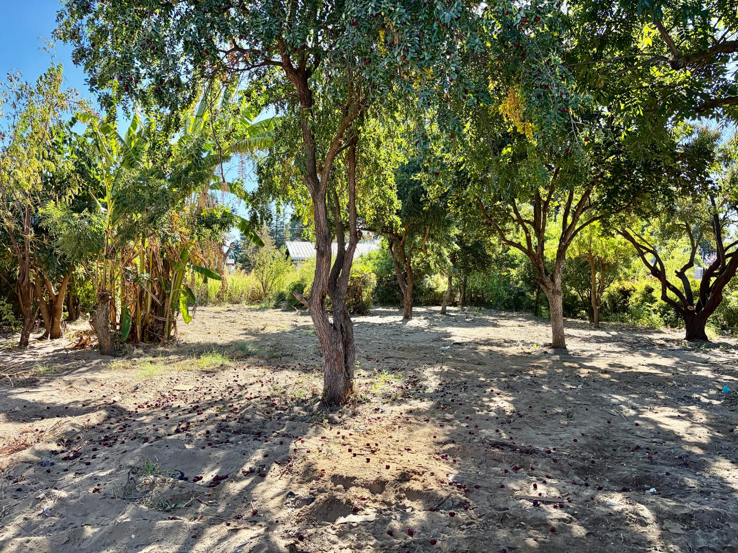 1322 N Central Ave, Modesto, CA 95351