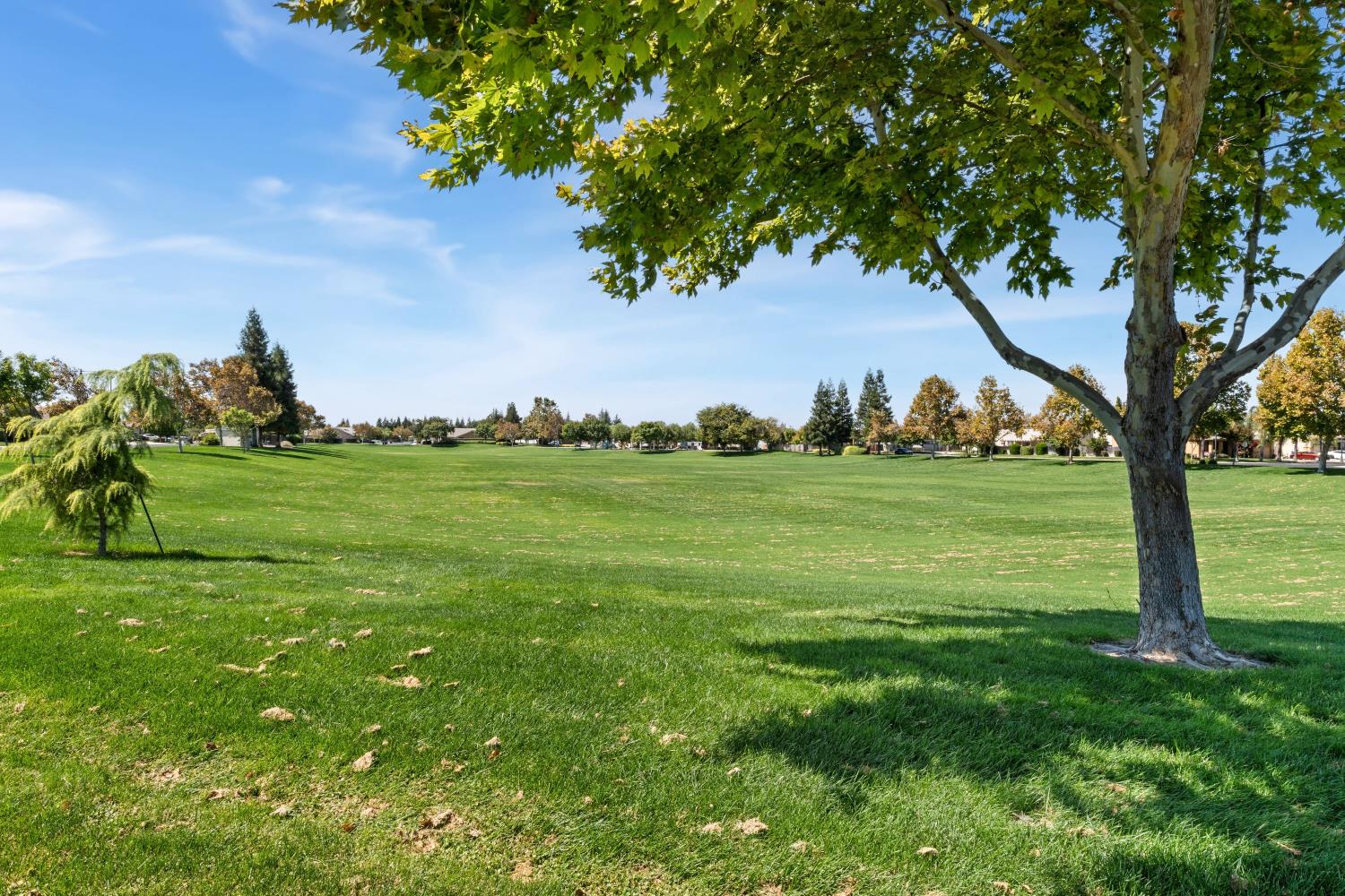 866 Raccoon Valley Dr, Manteca, CA 95336