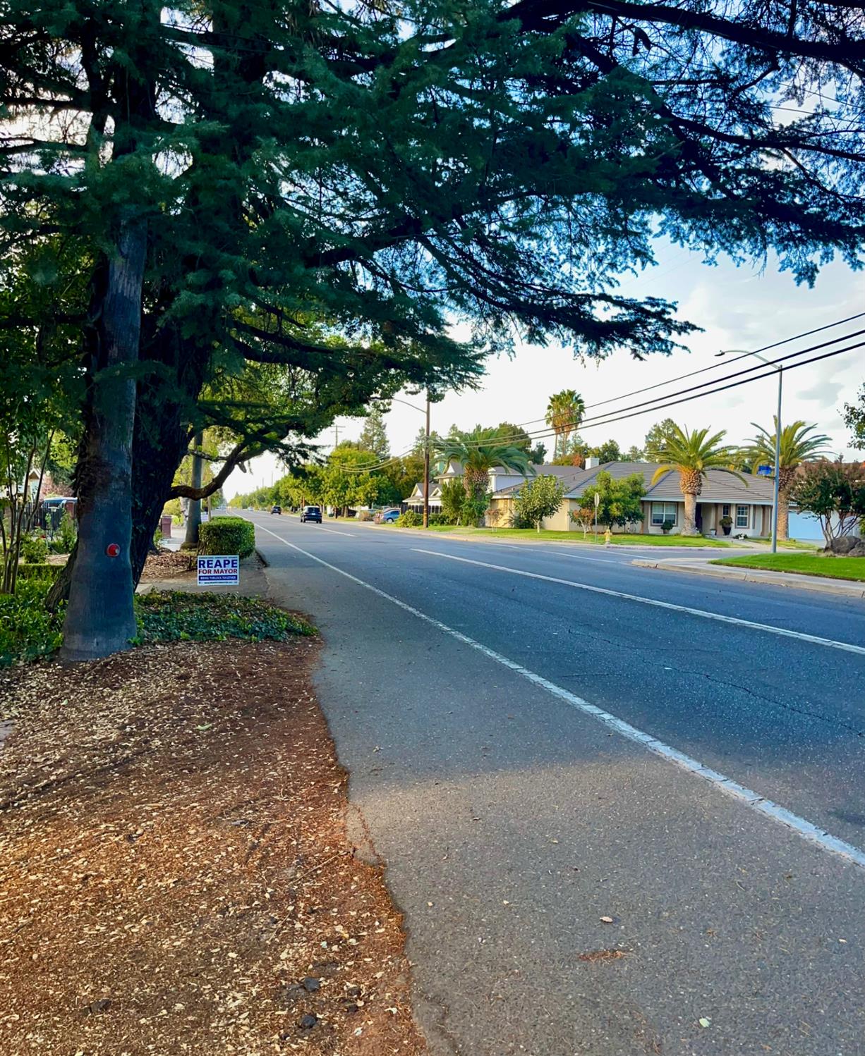 1740 N Berkeley Ave, Turlock, CA 95382