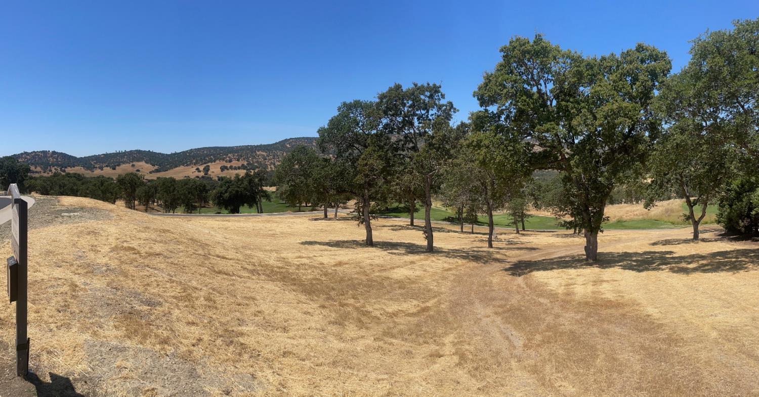 1131 Knolls Dr, Copperopolis, CA 95228