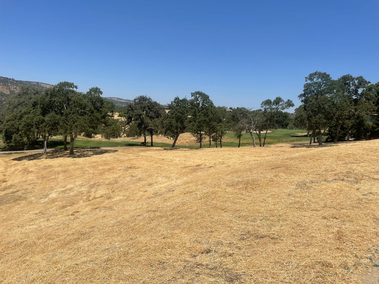 1131 Knolls Dr, Copperopolis, CA 95228