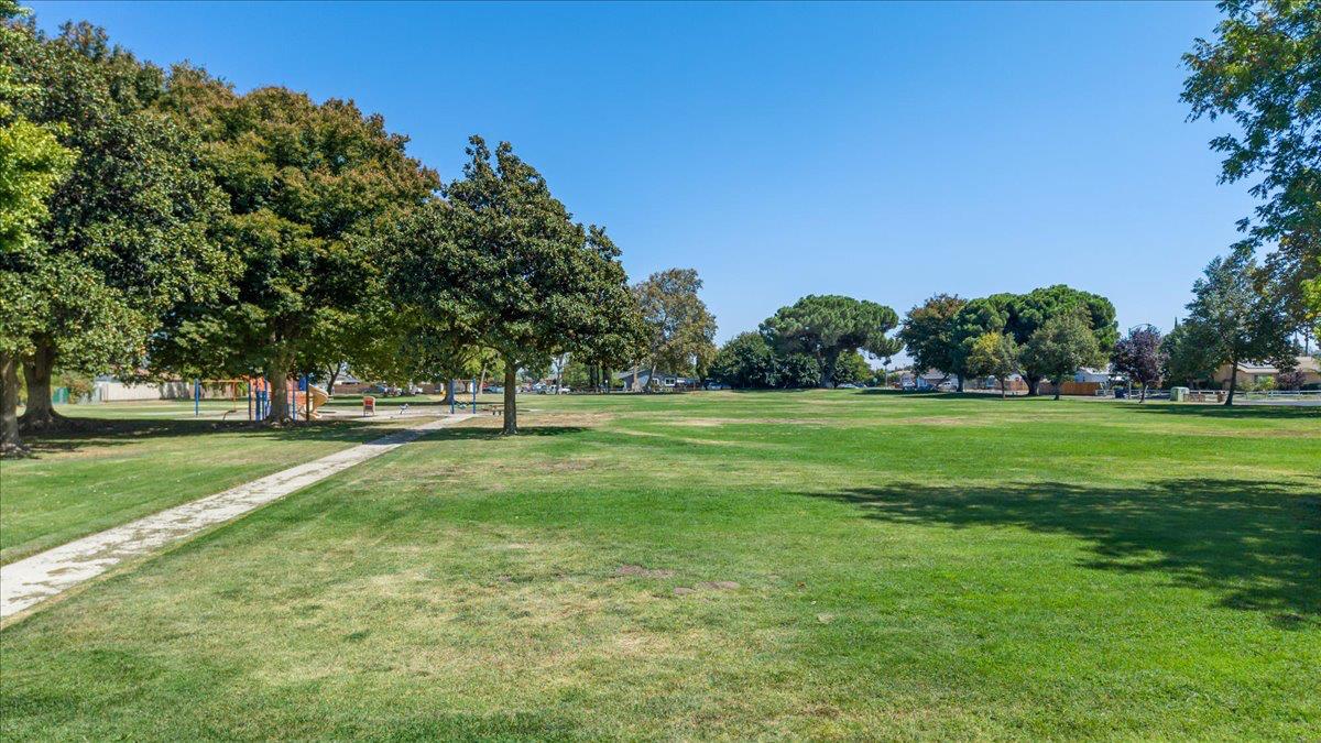 Open Photo