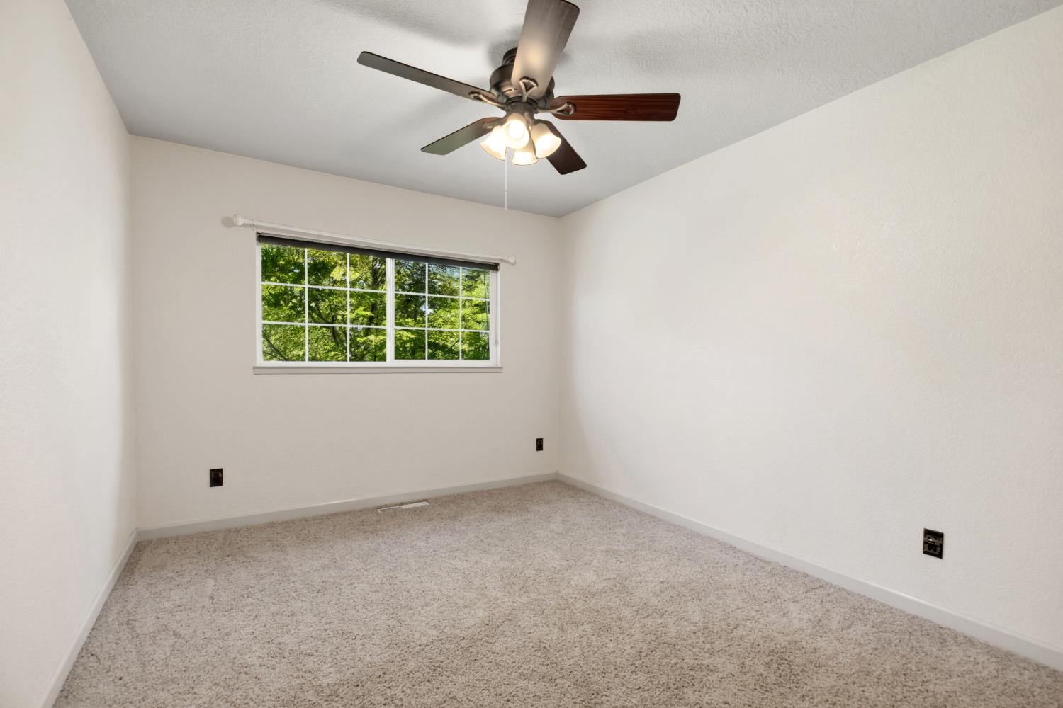 1730 Colombard Ct, Escalon, CA 95320