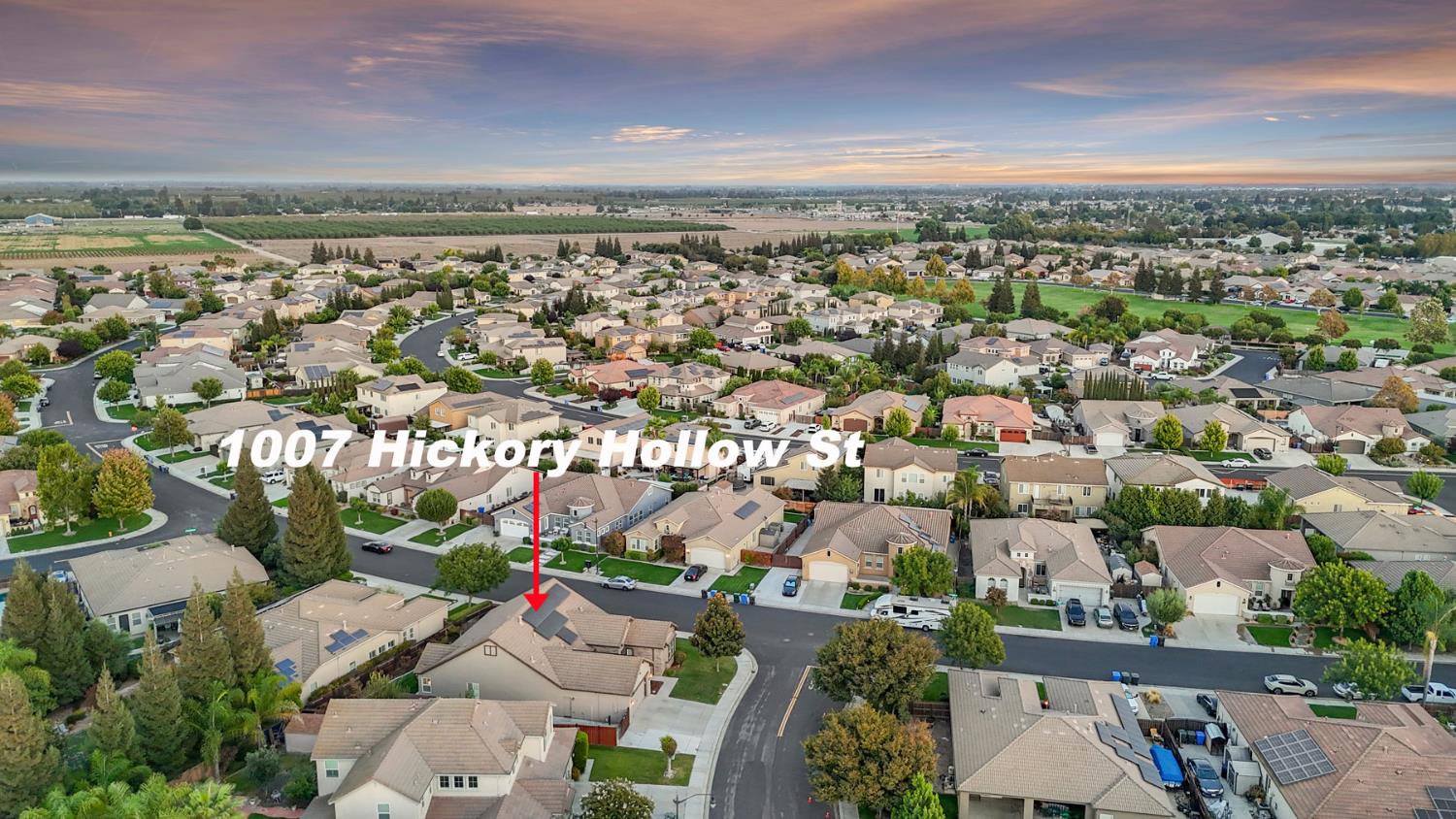1007 Hickory Hollow St, Manteca, CA 95336