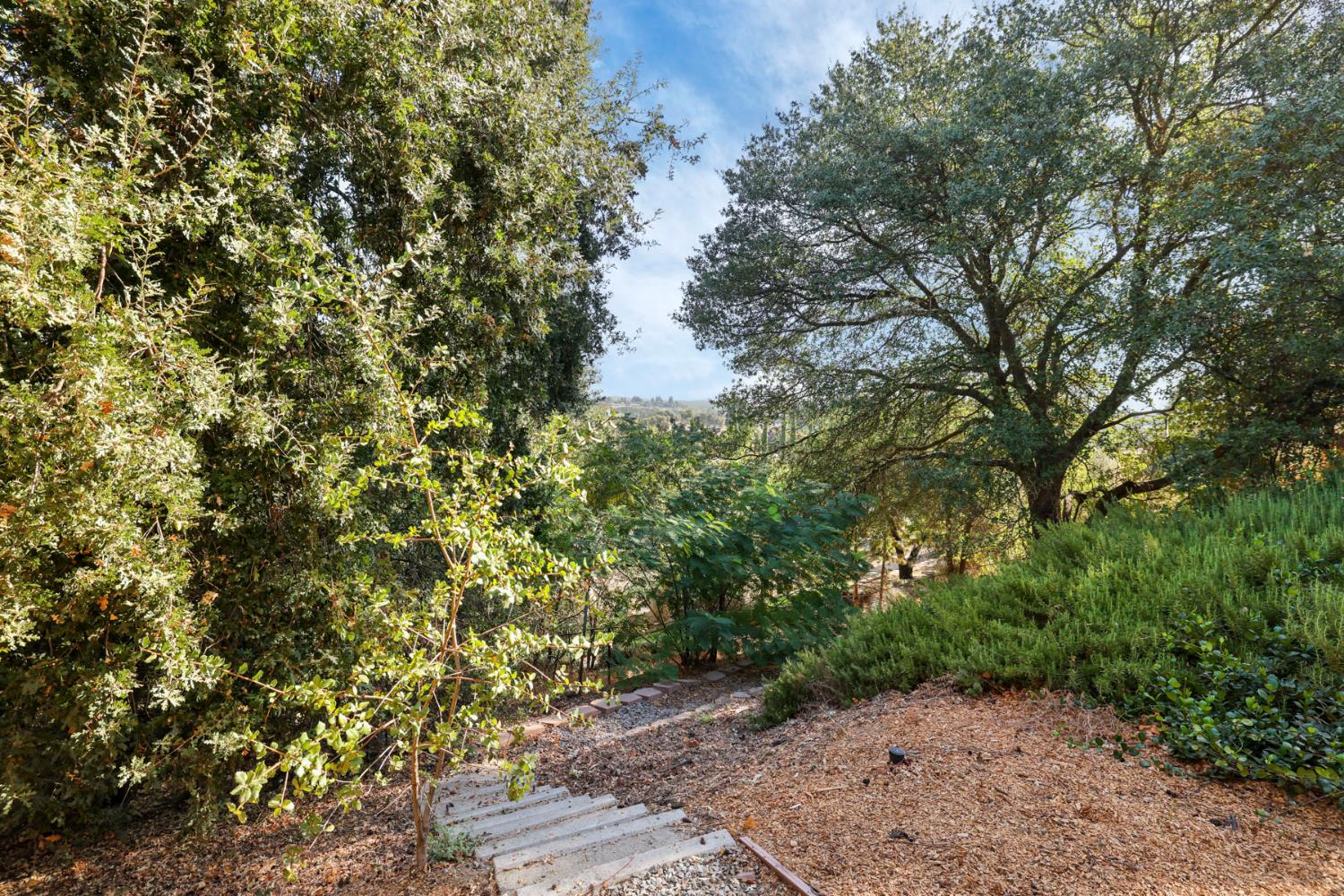 10009 Country Oak Ct, Oakdale, CA 95361