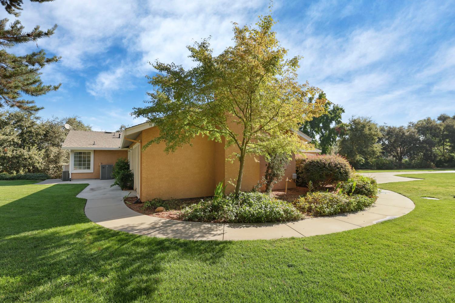 10009 Country Oak Ct, Oakdale, CA 95361