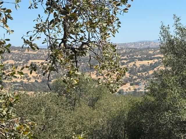 4649 Bayview Dr, Copperopolis, CA 95228