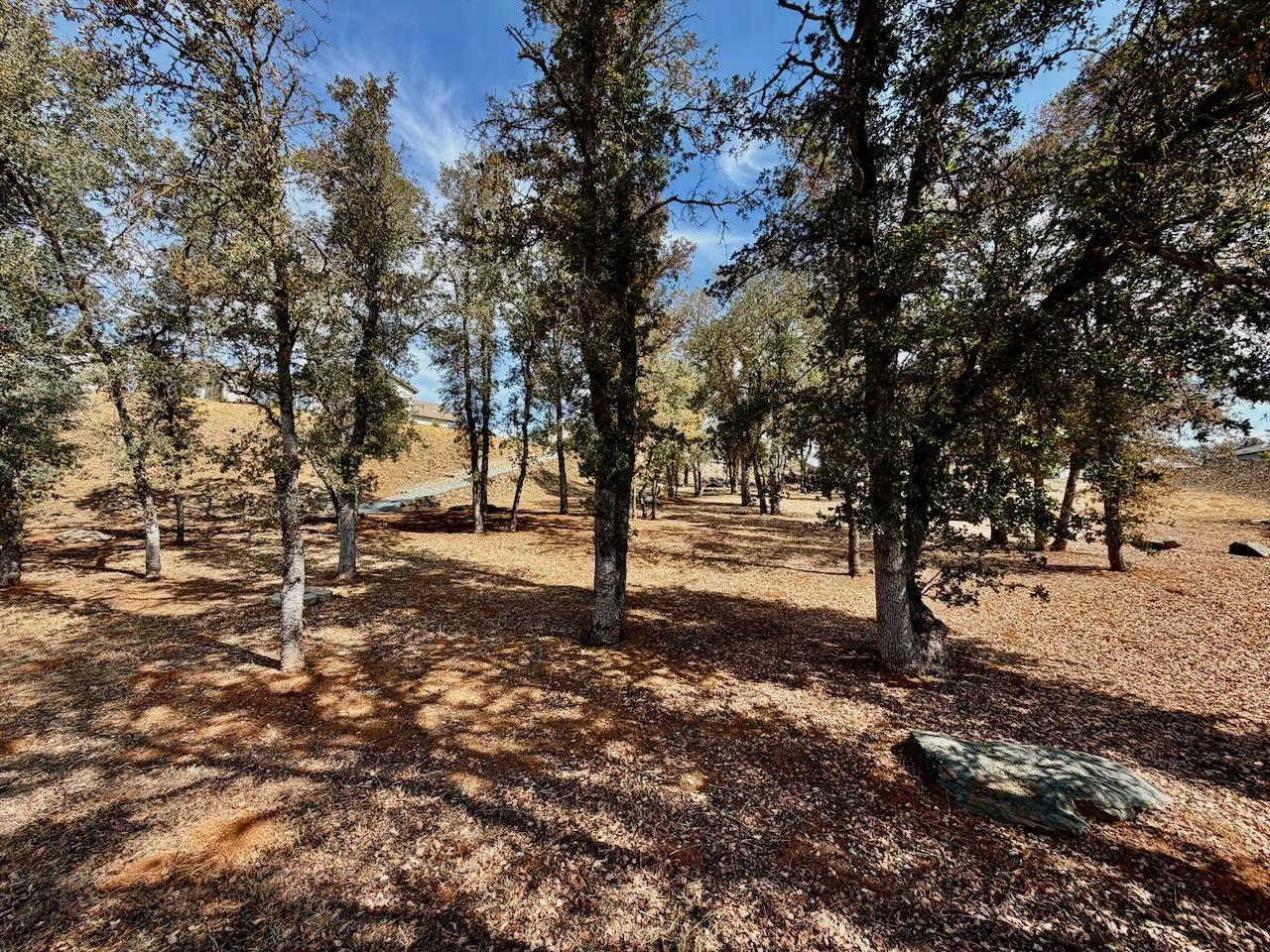 133 Palisades Pl, Copperopolis, CA 95228