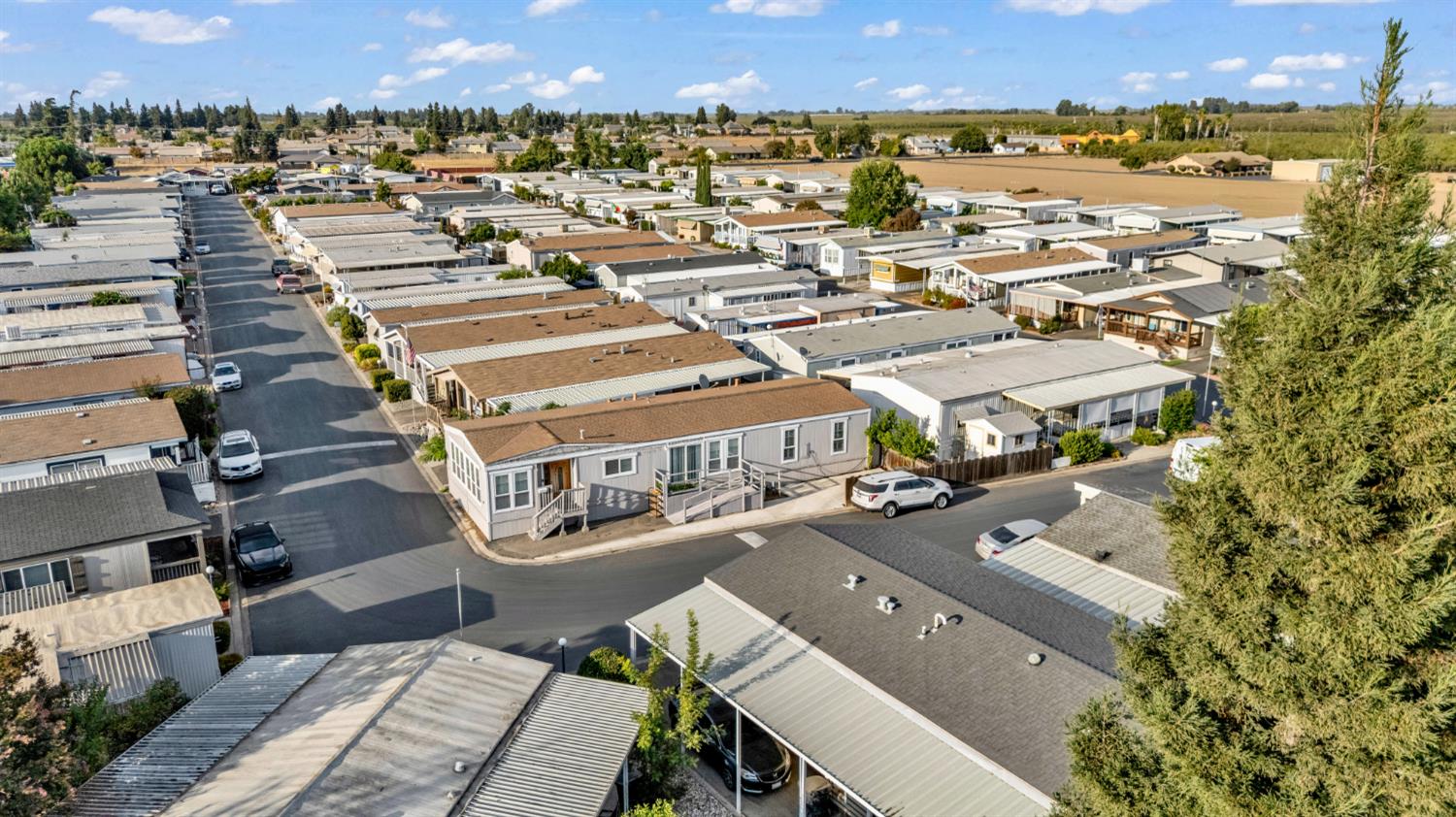 2505 JACKSON Ave #161, Escalon, CA 95320