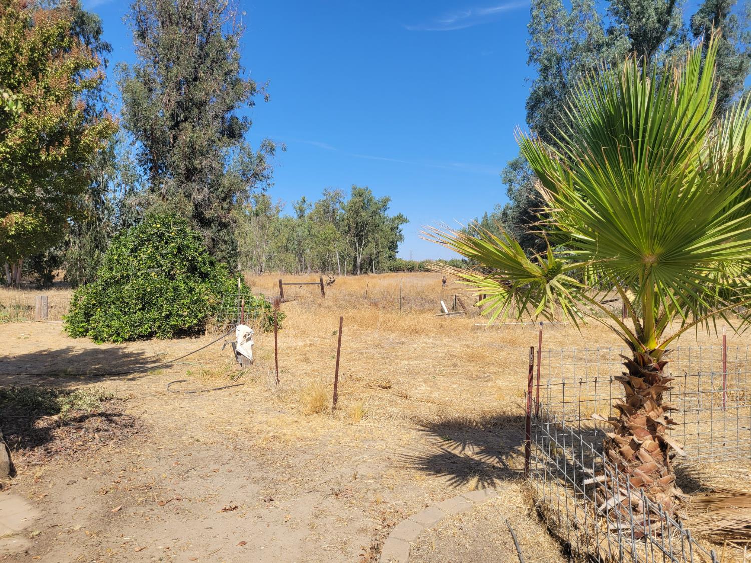 24471 Avenue 19, Madera, CA 93637