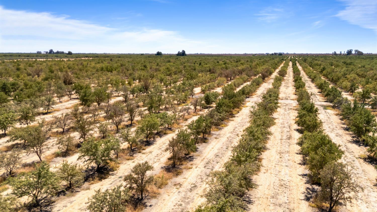0 E Buchand Hollow Rd, Le Grand, CA 95333