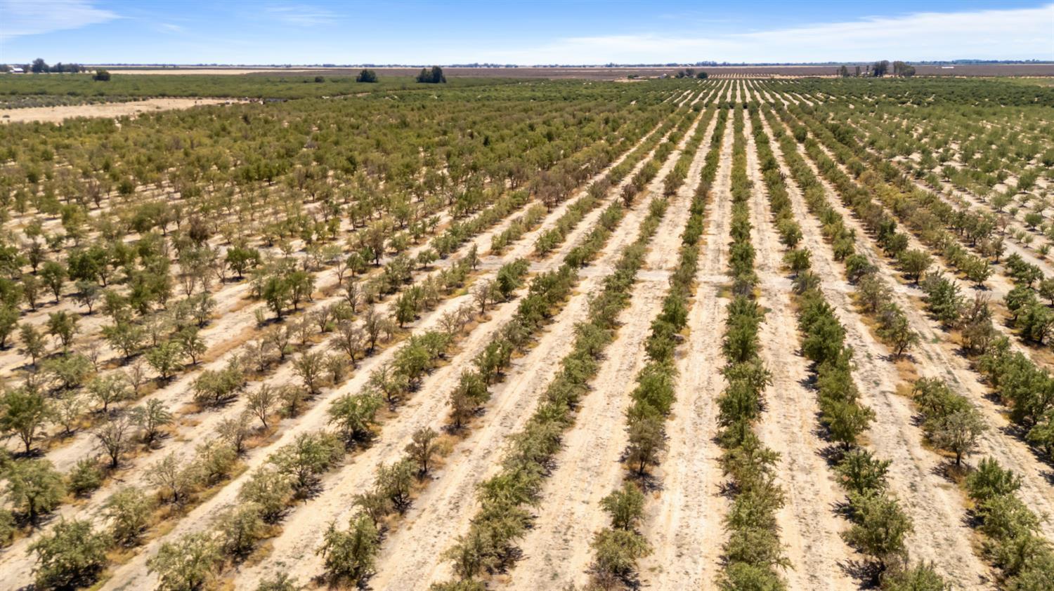 0 E Buchand Hollow Rd, Le Grand, CA 95333
