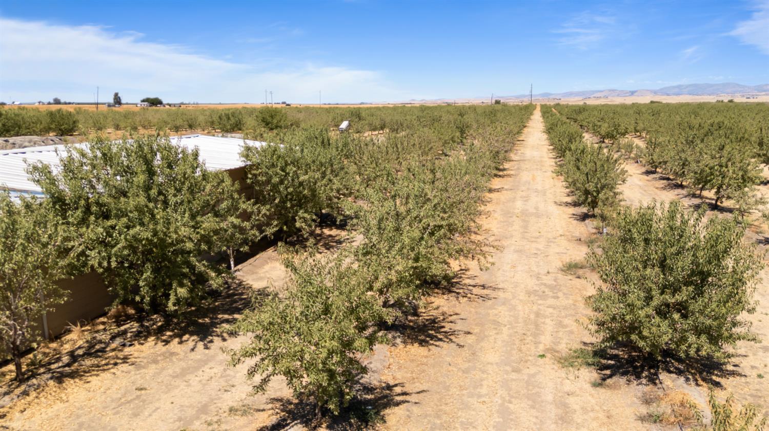 0 E Buchand Hollow Rd, Le Grand, CA 95333