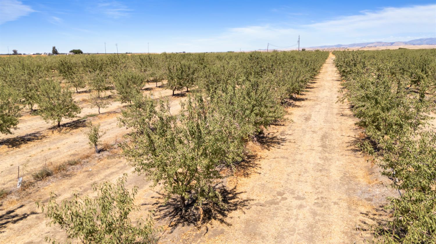 0 E Buchand Hollow Rd, Le Grand, CA 95333