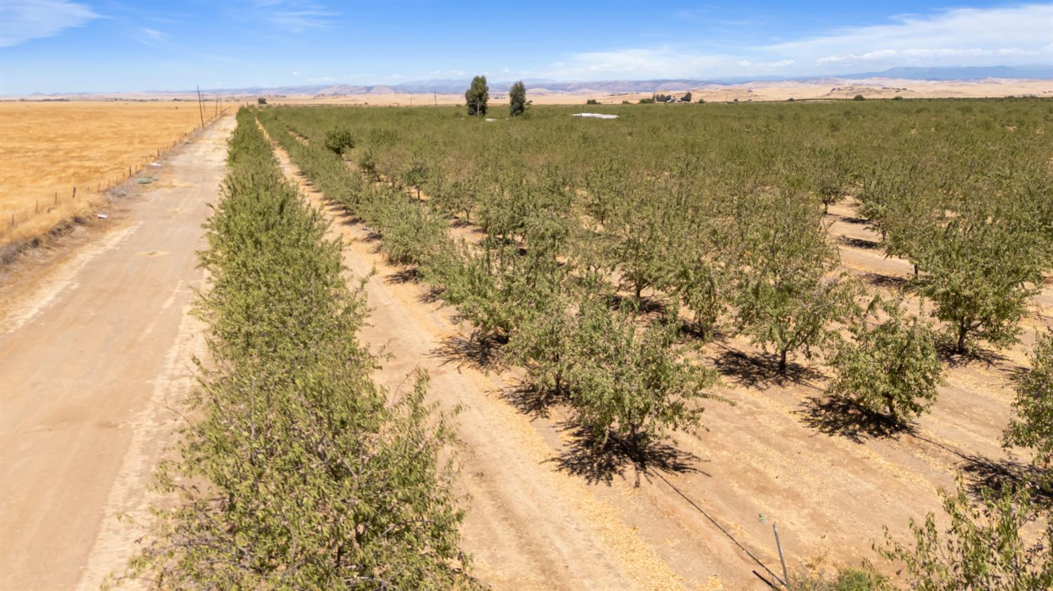 0 E Buchand Hollow Rd, Le Grand, CA 95333