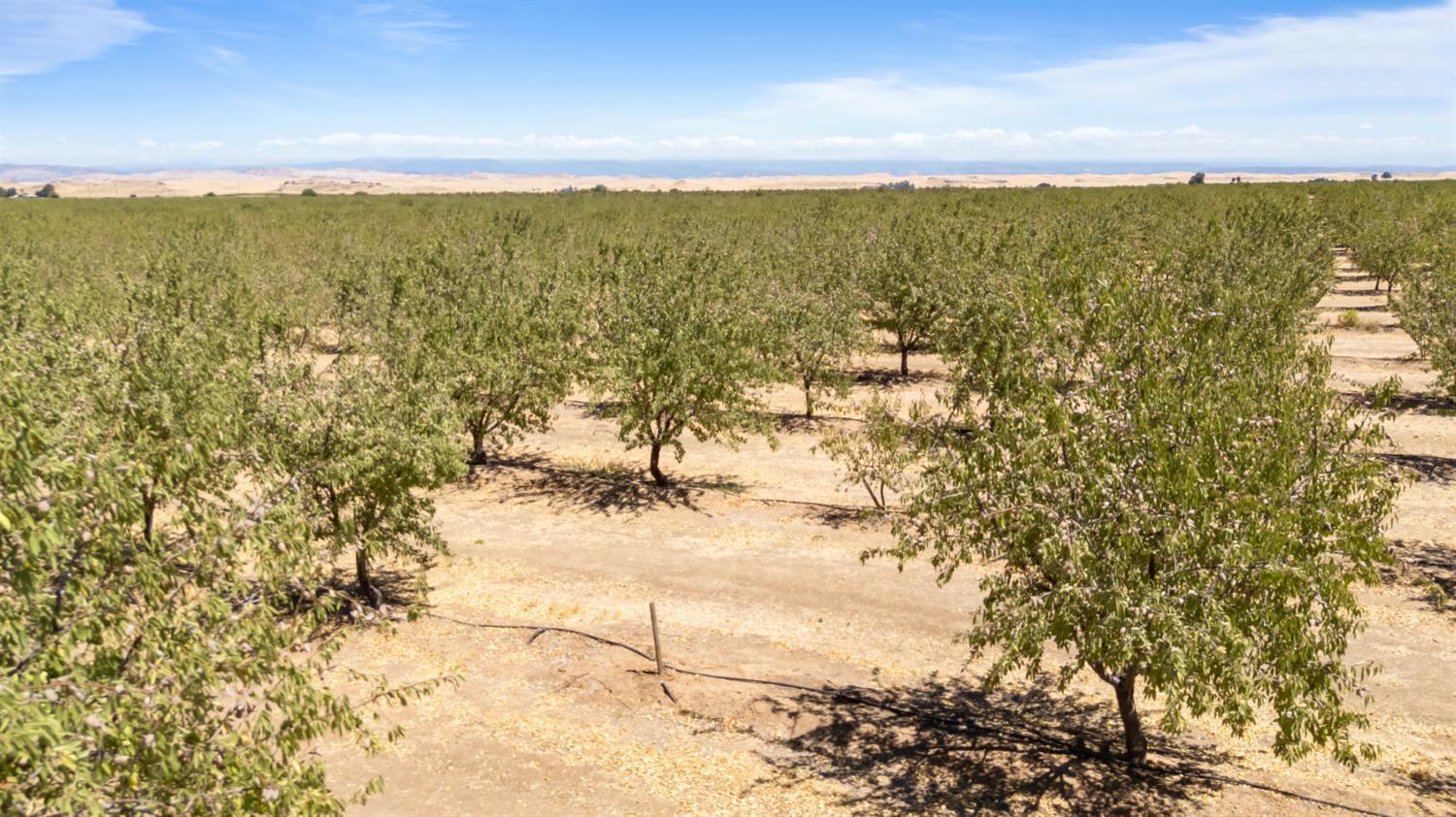 0 E Buchand Hollow Rd, Le Grand, CA 95333