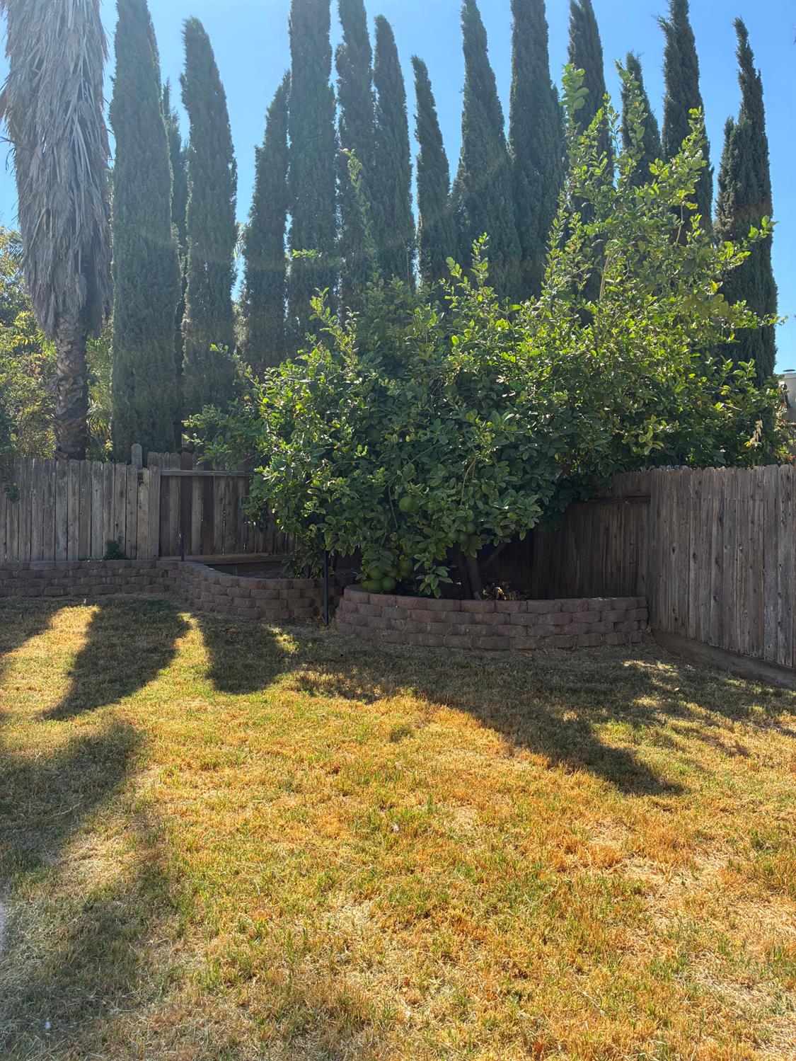 1460 Portsmouth, Gustine, CA 95322