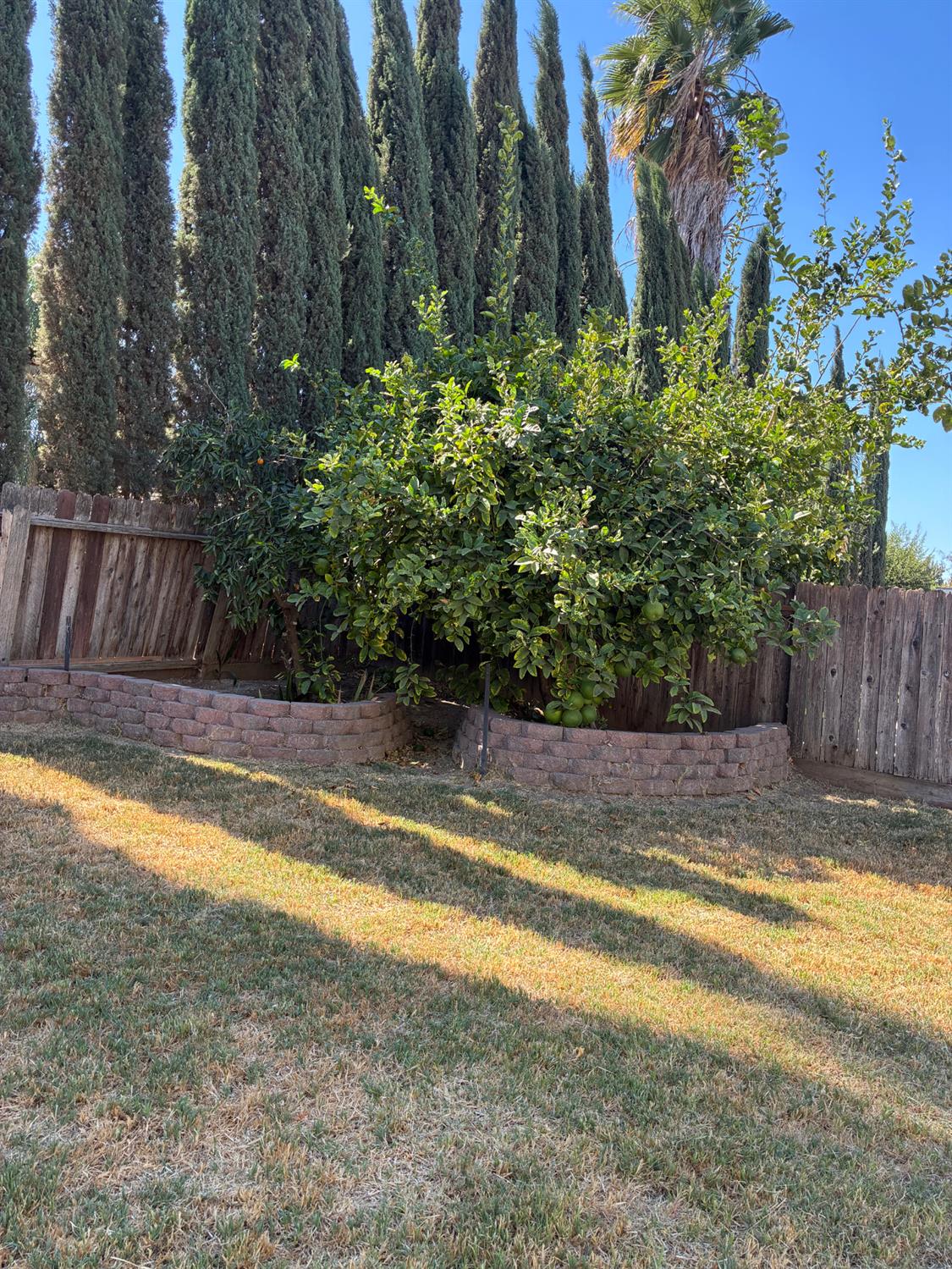 1460 Portsmouth, Gustine, CA 95322