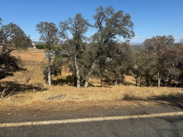 3965 Arrowhead St, Copperopolis, CA 95228