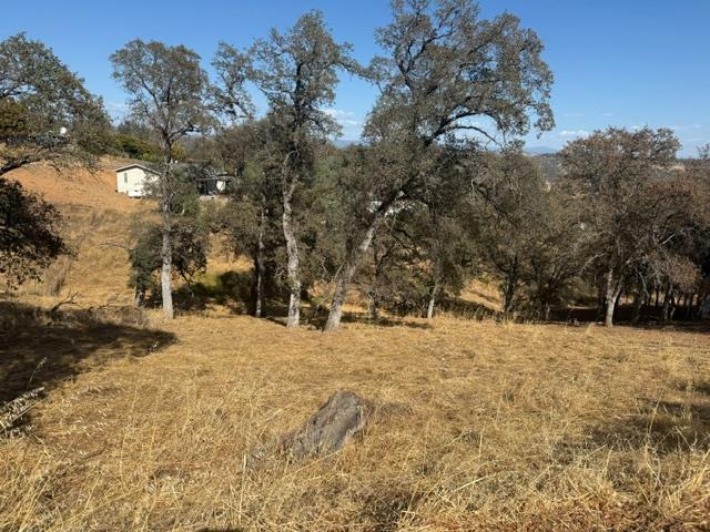 3965 Arrowhead St, Copperopolis, CA 95228
