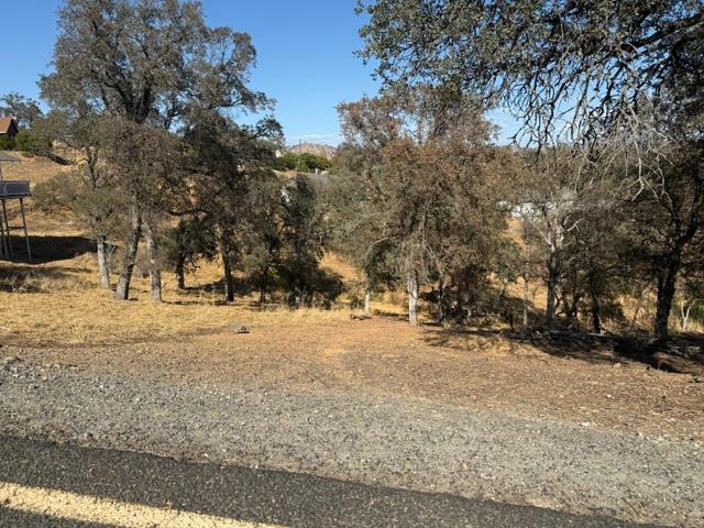 3965 Arrowhead St, Copperopolis, CA 95228
